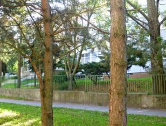 Stredná priemyselná škola chemická, kde chodí Jana