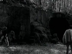 kamenné sochy v lese