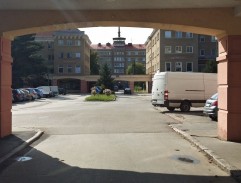 Letný strom radosti