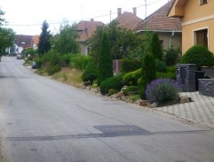Ulice v dědině