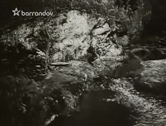 Dobrodružství na Zlaté zátoce