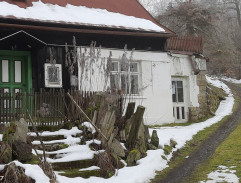 Táto, sežeň štěně!