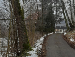 Táto, sežeň štěně!