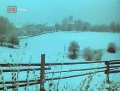 lúka pri veľkostatku