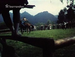 Láska s vůni pryskyřice