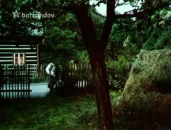 plot Slávkovej chalupy