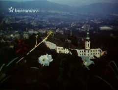 Láska s vůni pryskyřice