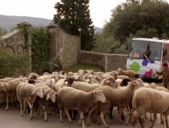 Před vilou Bramasole