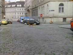 Rex prichádza domov