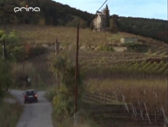 Höllerer sleduje Janíčka