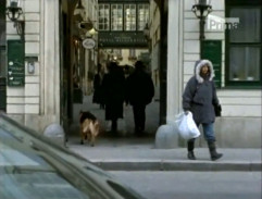 Rex sleduje pani Staller