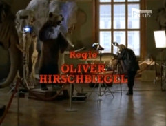 Fotografka fotí slona