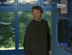 10. Anděl se čtyřmi tlapkami