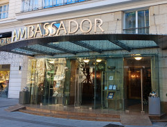 11. Smrtící medvídci