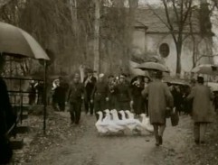 Bydliště sňatkového podvodníka