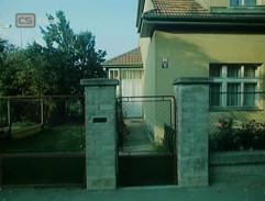 Stín létajícího ptáčka