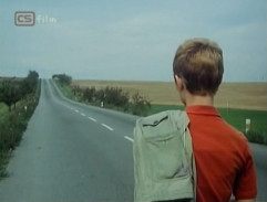 Stín létajícího ptáčka