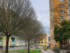 Stín létajícího ptáčka