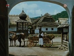 Deštník svatého Petra