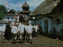 Deštník svatého Petra