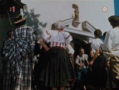 Deštník svatého Petra