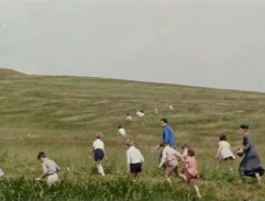 Děti hledají kocoura