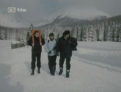 zasnežený chodník