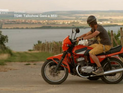 Vynucené zastavení