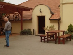 Vlček krokuje bazén