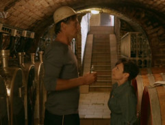 V mušovském sklípku