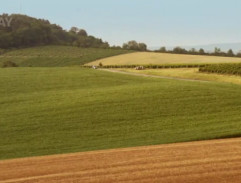 Příjezd Hýskových