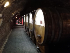V Templářských sklepích