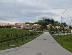 Vinařství Františka Vlčka