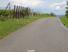 Příjezd Vlčkových