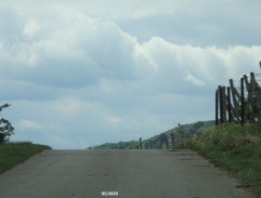 Delegace Mušováků