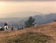 kluci jedou na koních