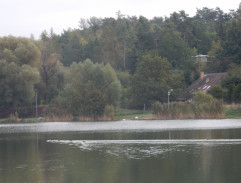 Rybník v Počernicích