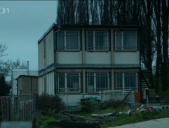 Staveništní buňka