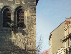 Petrská věž s ptákem