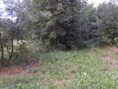 Děti běží po cestě