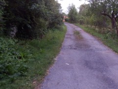 Honzík nahlíží do školní zahrady