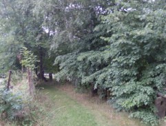 Honzík běží na cestu