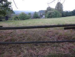 Kamarádi Honzíka nahlížejí do školní zahrady