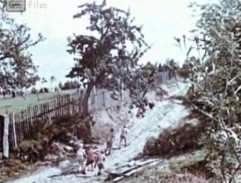 Děti běží po cestě