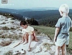 Na břehu rybníčku