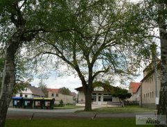 Odjezd Hanky a Filipa