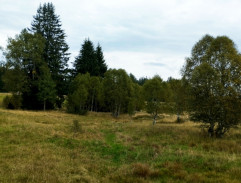 Na pytlácké stezce