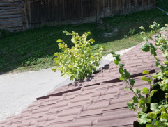 cesta pri cintoríne