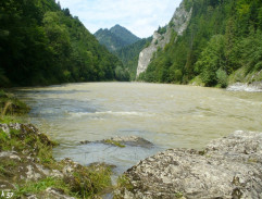 VIII. Mat na tri ťahy