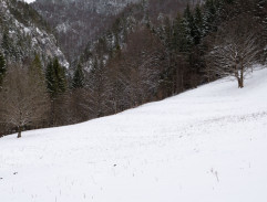 VIII. Mat na tri ťahy